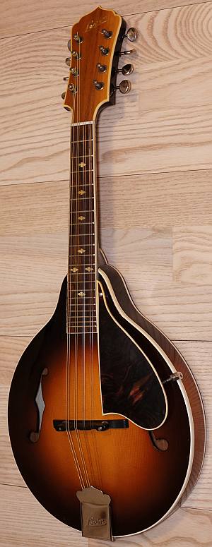 Levin mandolin Model 325